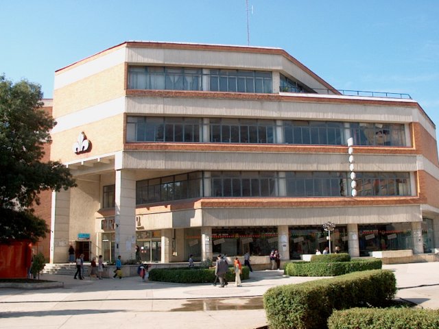 Photograph